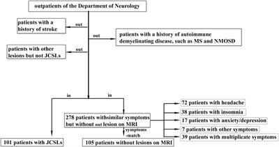 Risk Factors and Clinical Manifestations of Juxtacortical Small Lesions: A Neuroimaging Study